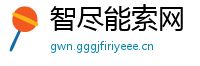 智尽能索网